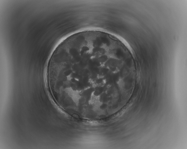 X0000113080911200908281220