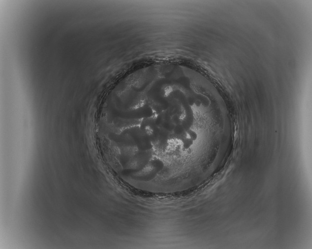 X0000113080913200908281220