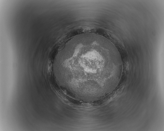 X0000113080914200908281220