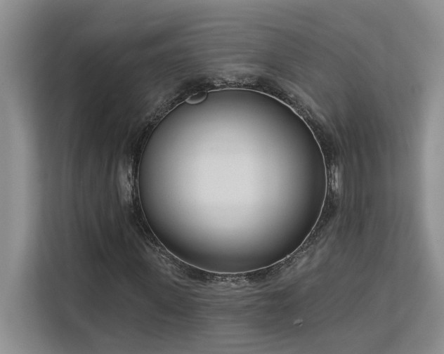 X0000113080915200908281220