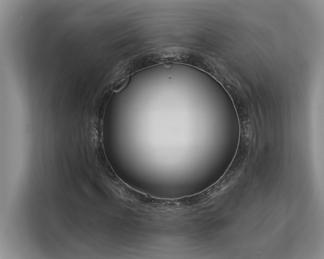 X0000113080916200908281220