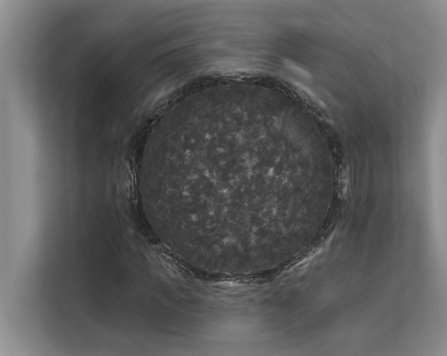 X0000113080917200908281220