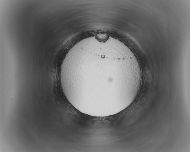 X0000113080918200908281220