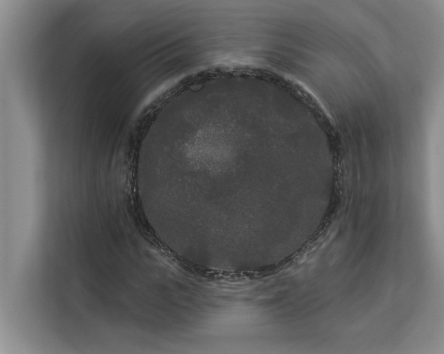 X0000113080919200908281220