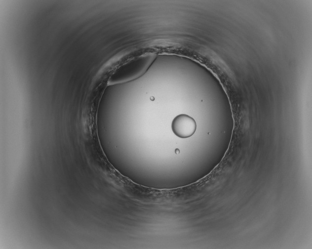 X0000113080920200908281220