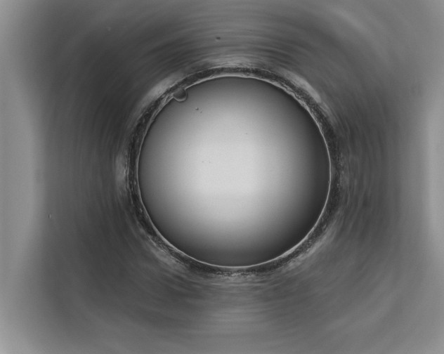 X0000113080922200908281220