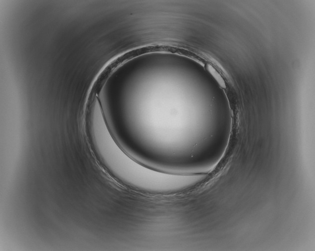 X0000113080924200908281220