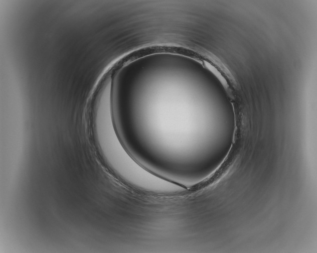 X0000113080926200908281220