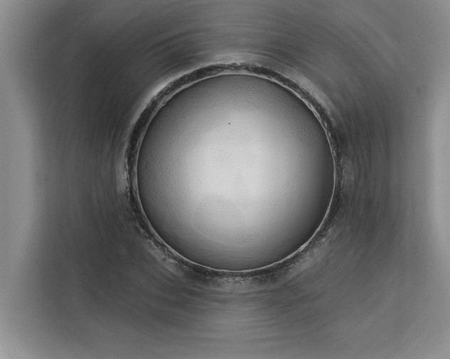 X0000113080927200908281220