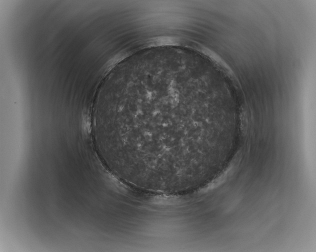 X0000113080929200908281220