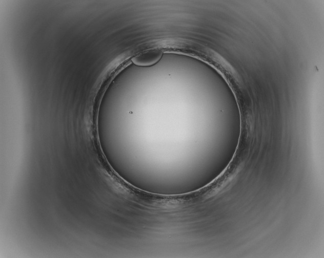 X0000113080930200908281220