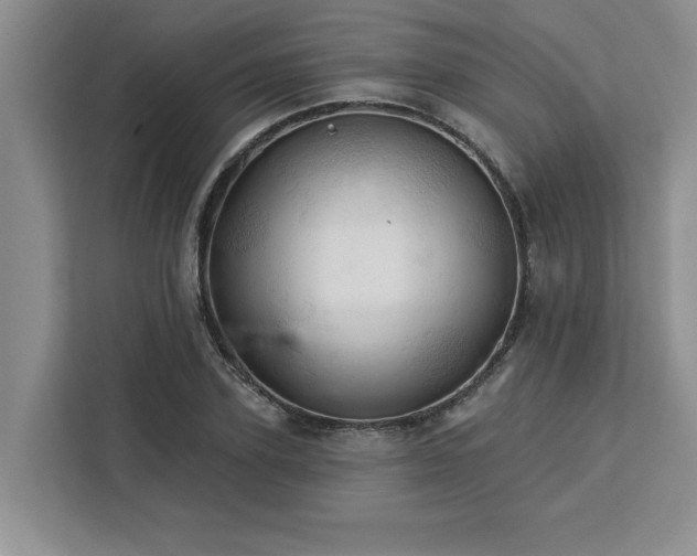 X0000113080931200908281220