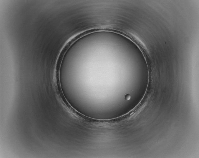 X0000113080932200908281220