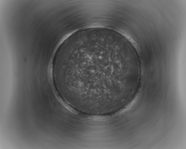 X0000113080933200908281220