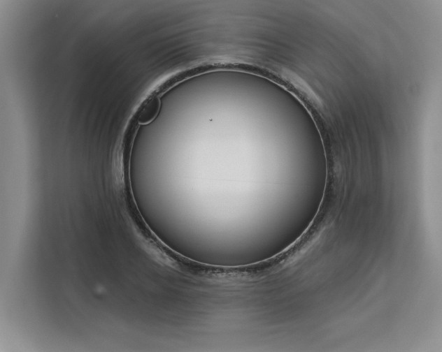 X0000113080934200908281220