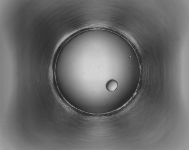 X0000113080936200908281220