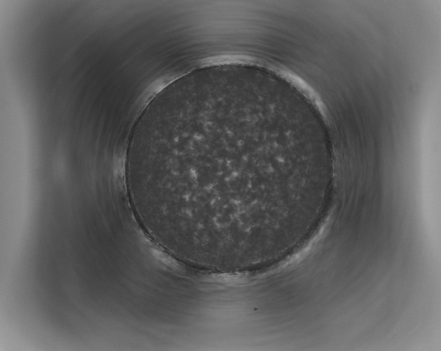 X0000113080937200908281220