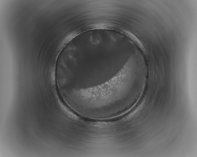 X0000113080938200908281220