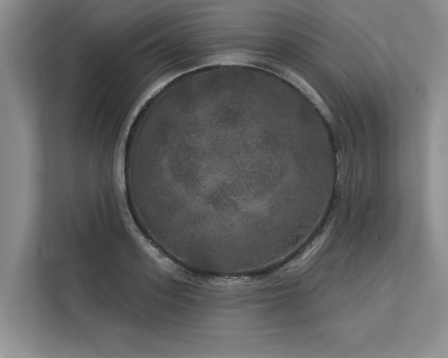 X0000113080939200908281220