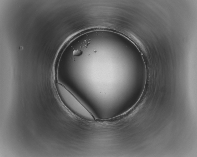 X0000113080940200908281220