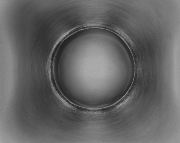 X0000113080941200908281220