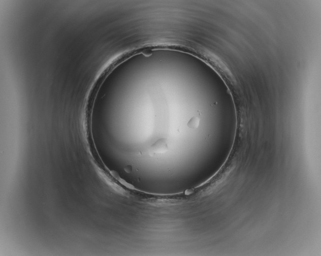 X0000113080942200908281220