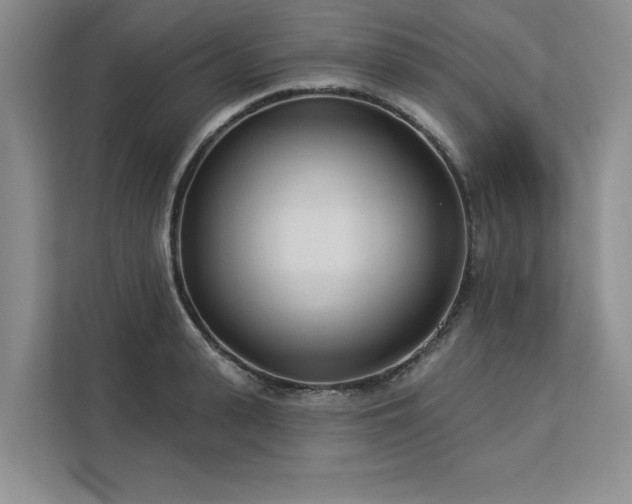 X0000113080943200908281220