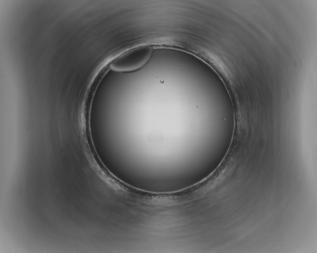 X0000113080944200908281220