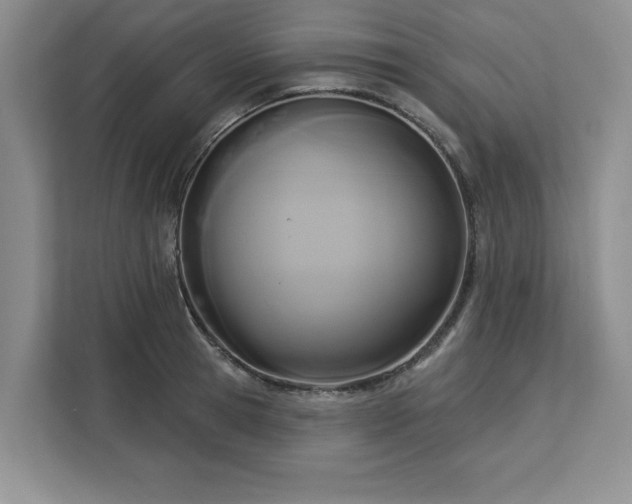 X0000113080945200908281220