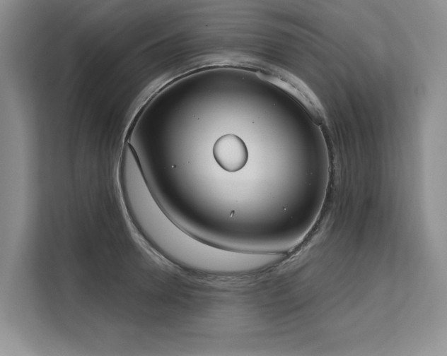 X0000113080946200908281220