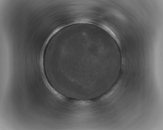 X0000113080947200908281220