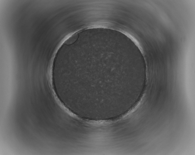 X0000113080949200908281220