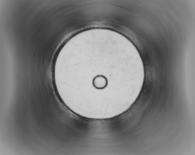 X0000113080950200908281220