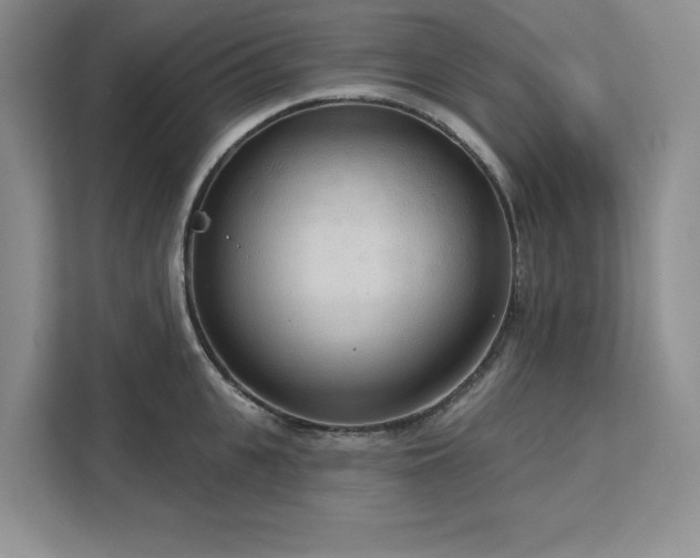 X0000113080951200908281220