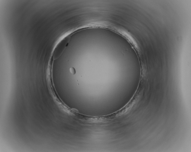 X0000113080952200908281220