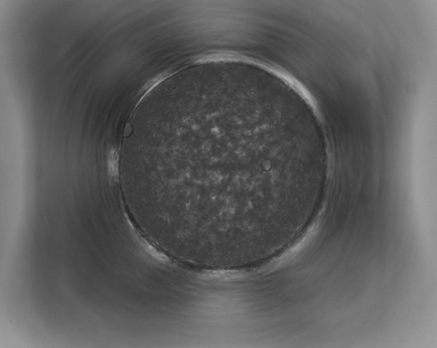 X0000113080953200908281220