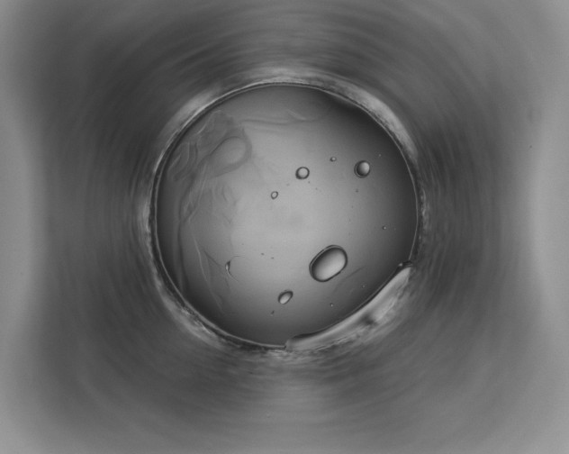 X0000113080954200908281220