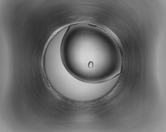 X0000113080956200908281220