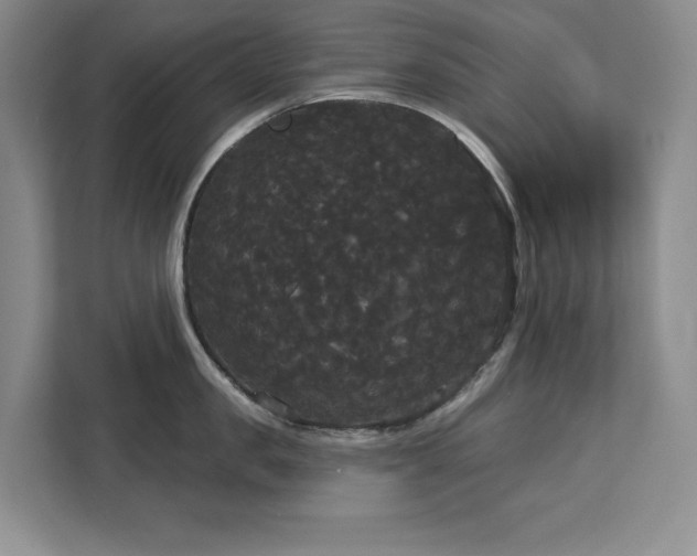 X0000113080957200908281220