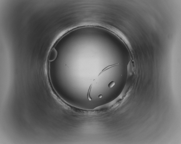 X0000113080958200908281220