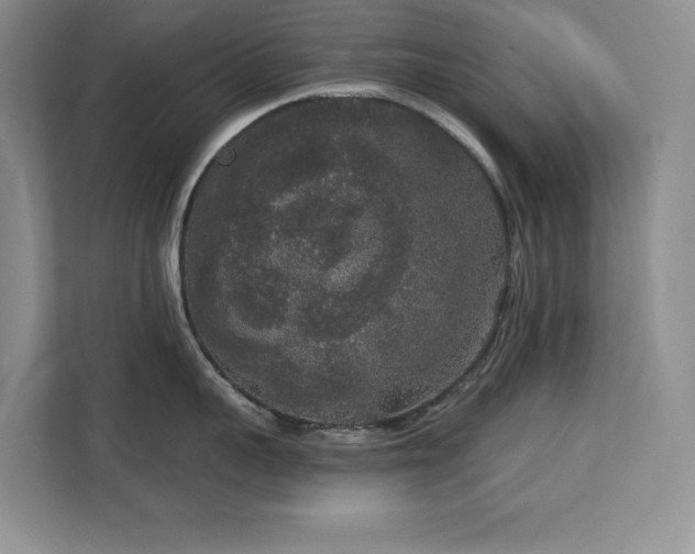 X0000113080959200908281220