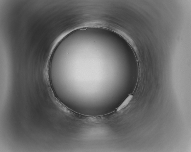 X0000113080960200908281220