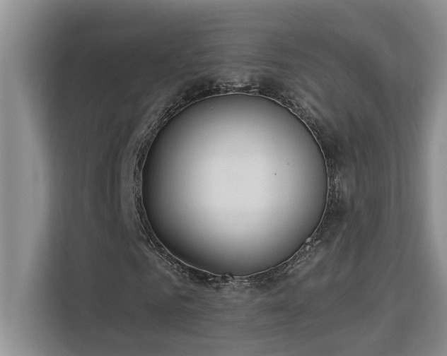 X0000113080961200908281220