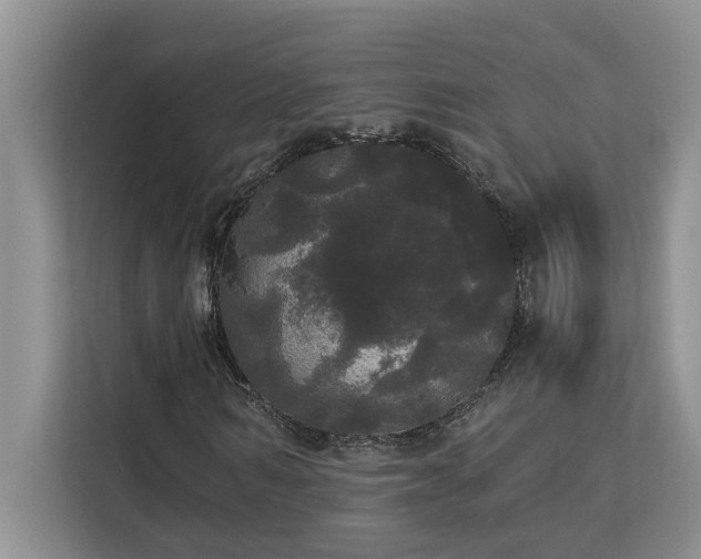 X0000113080962200908281220