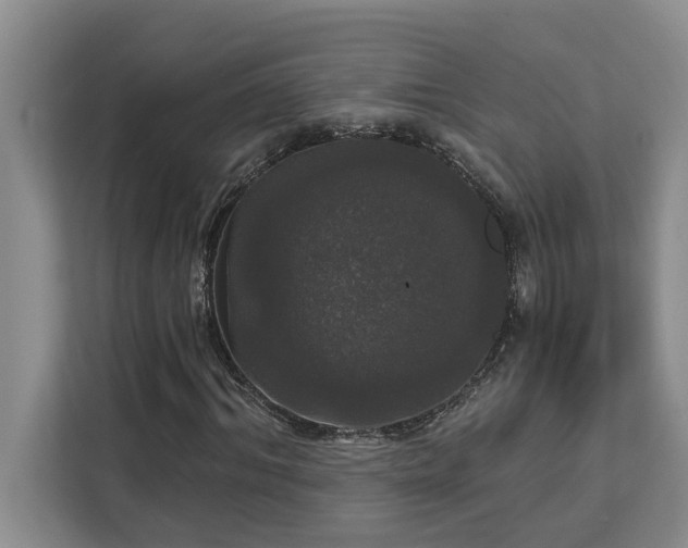 X0000113080964200908281220