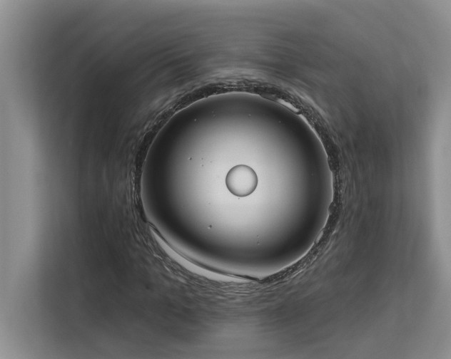 X0000113080965200908281220