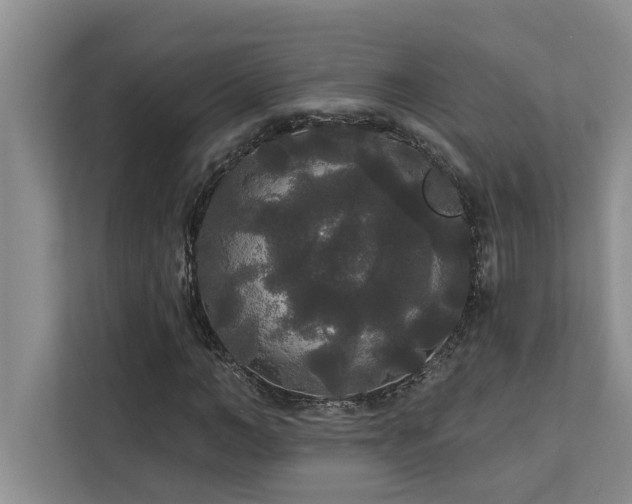 X0000113080966200908281220