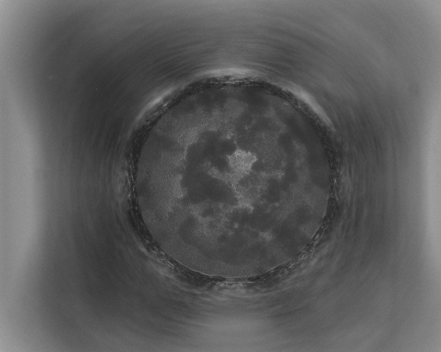 X0000113080967200908281220