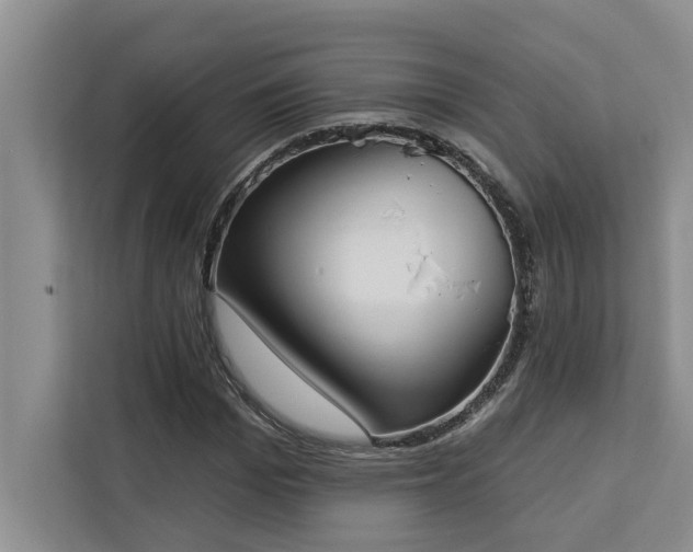 X0000113080969200908281220