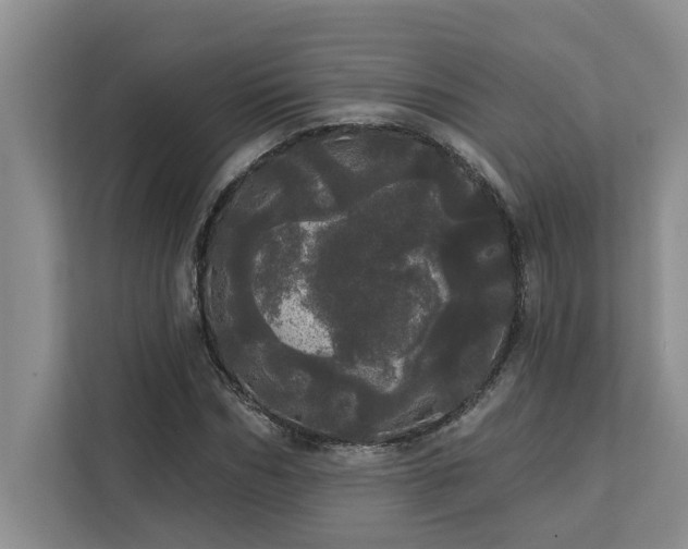 X0000113080970200908281220